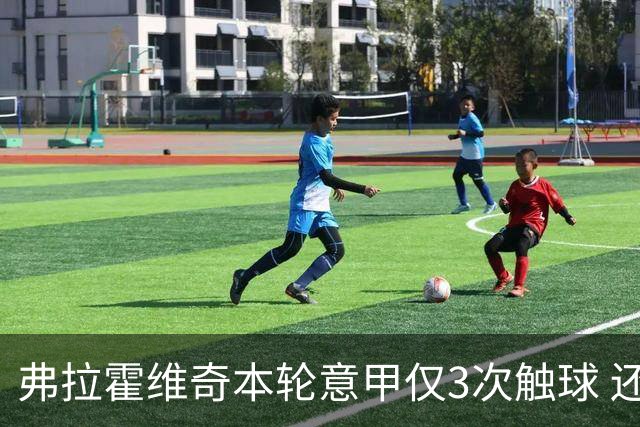 弗拉霍维奇本轮意甲仅3次触球 还经常抱怨队友